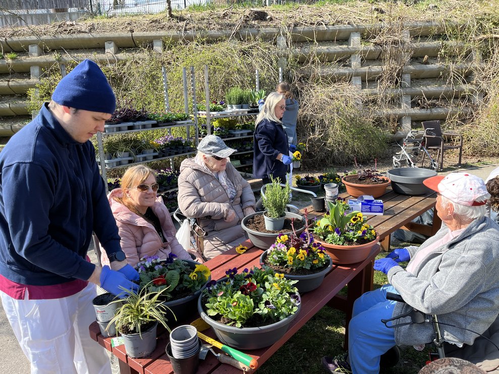 Blumen setzen im PBZ