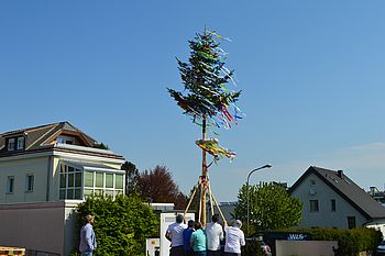 Maibaum
