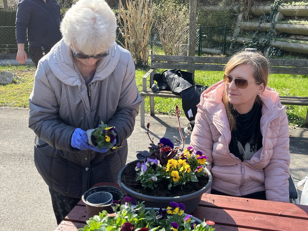 Bewohnerinnen pflanzen Blumen