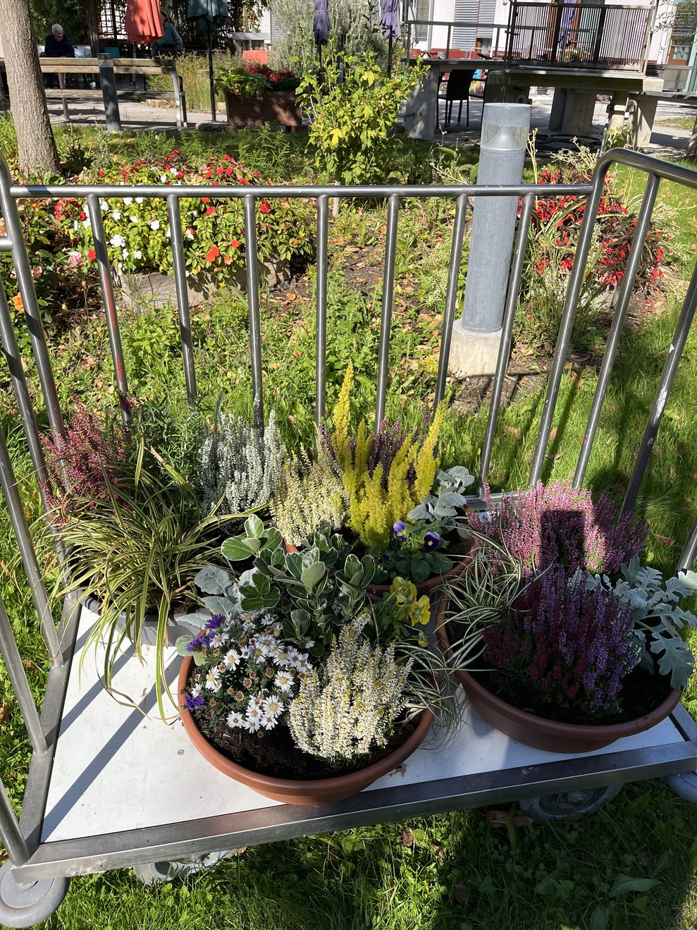 Blumenschalen