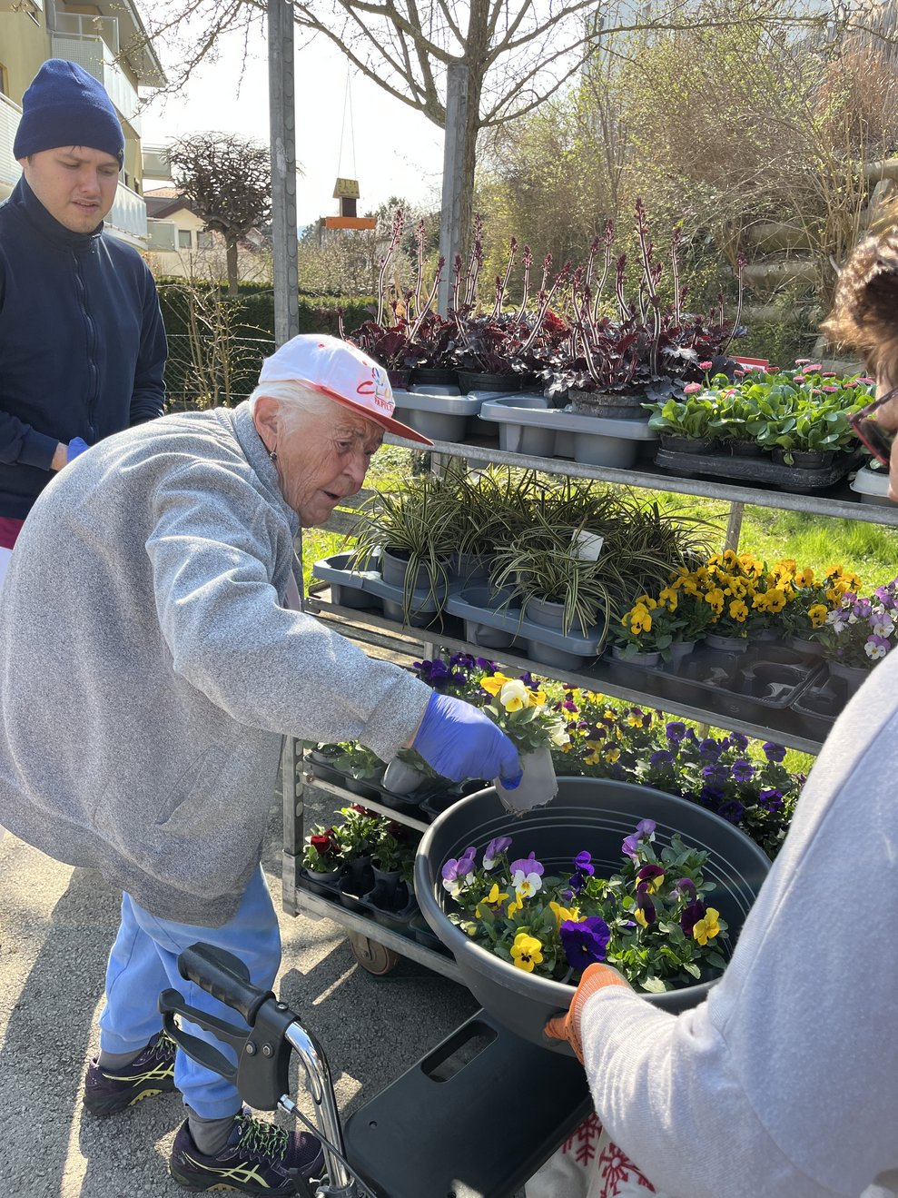 Bewohnerin sucht Blumen aus