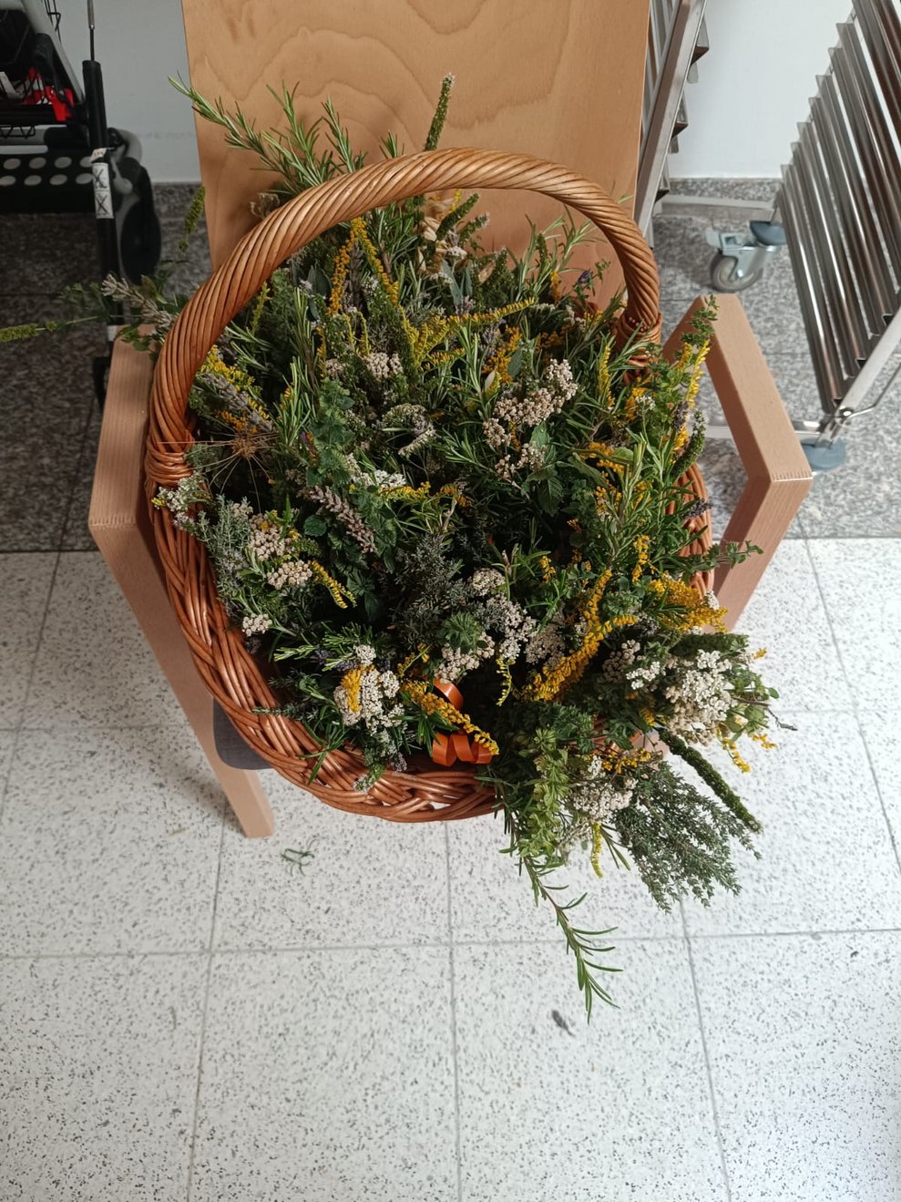 Korb mit Kräuterbuschen