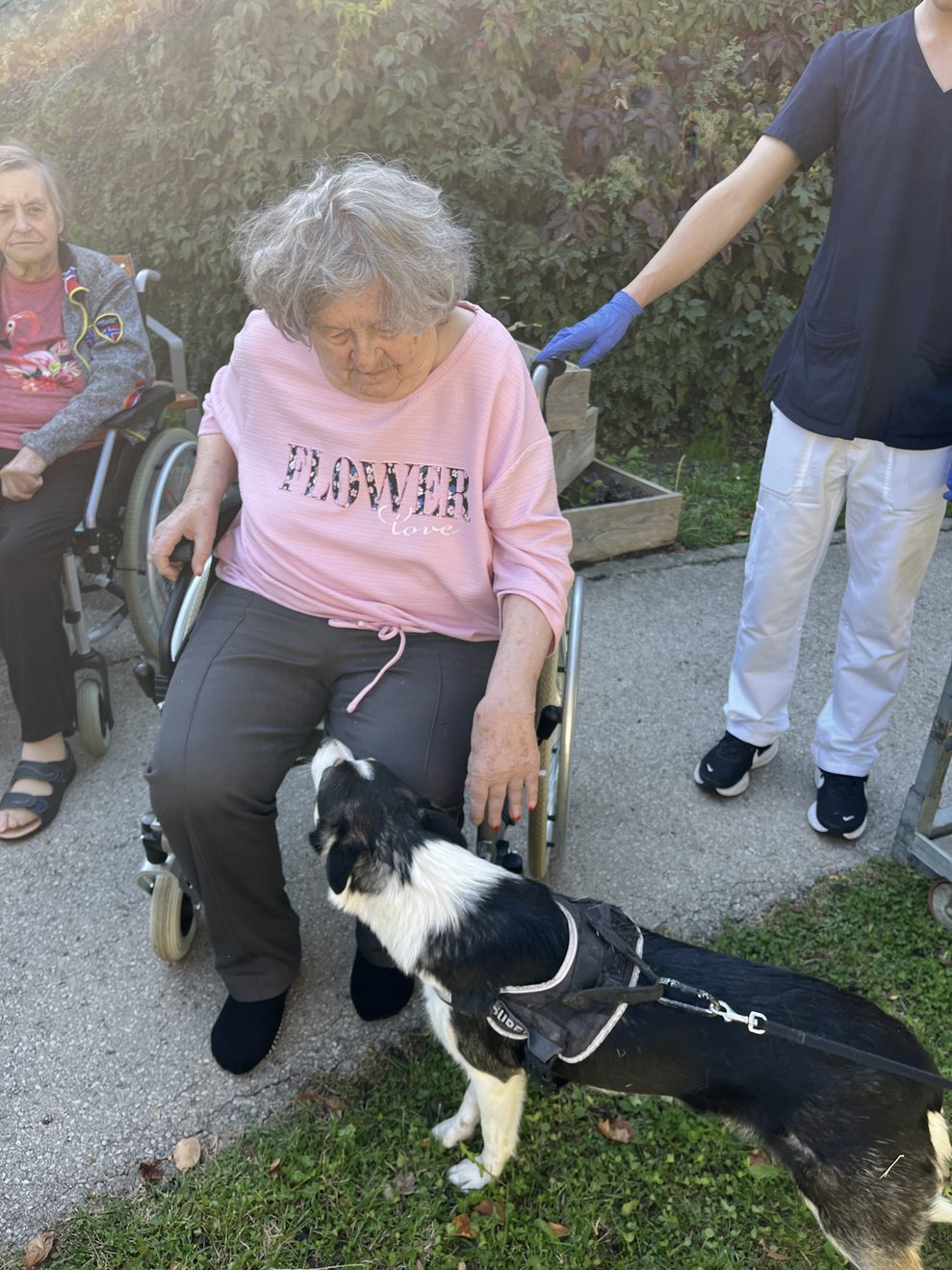 Hund Lotti mit Bewohnerin