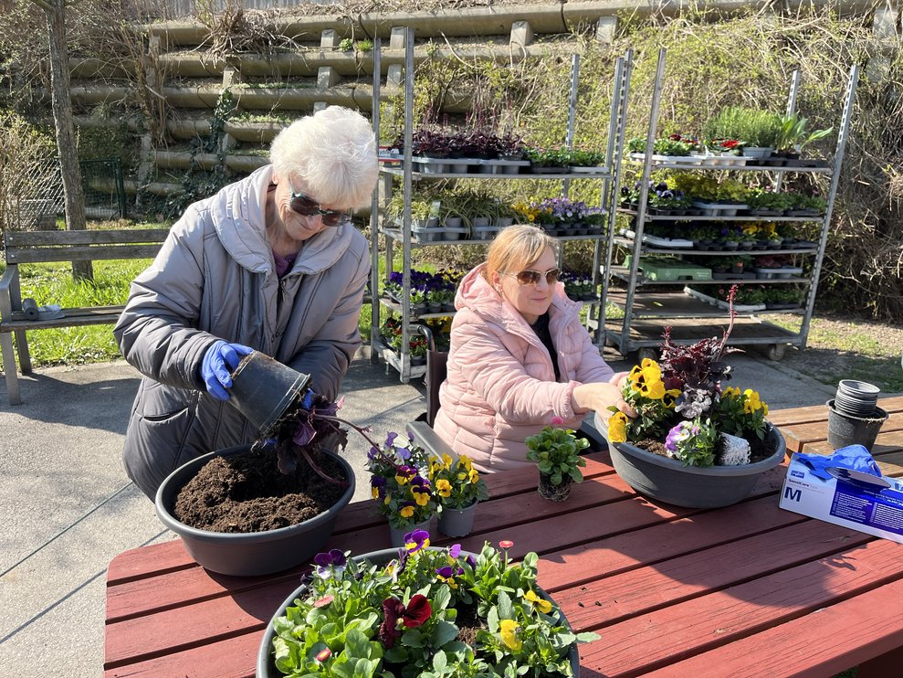Bewohnerinnen pflanzen Blumen