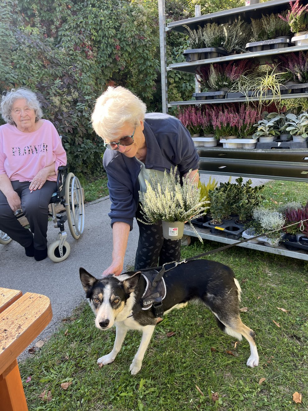 Hund Lotti mit Bewohnerin